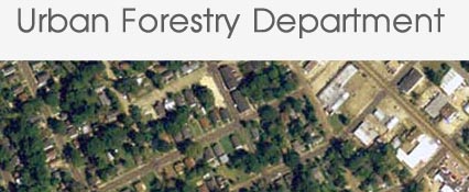 urbanforestry.jpg