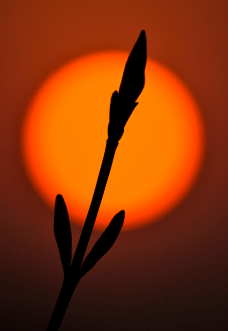 Screen shot 2010-04-09 at 1.05.11 AM