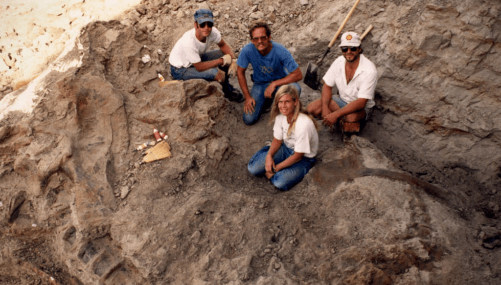 Screen Shot 2014-12-24 at 3.32.37 AM